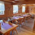 Brauner Hirsch 2* Hannoversch Münden