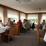 Brauner Hirsch Hannoversch Münden