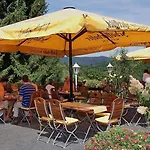 Brauner Hirsch Kro