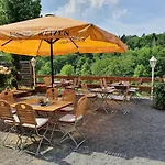 Brauner Hirsch 2*