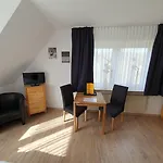 Brauner Hirsch Hannoversch Münden