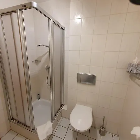 Brauner Hirsch 2* Hannoversch Münden