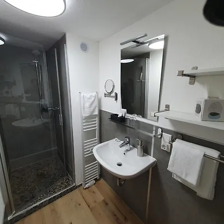 Gasthof Brauner Hirsch 2*