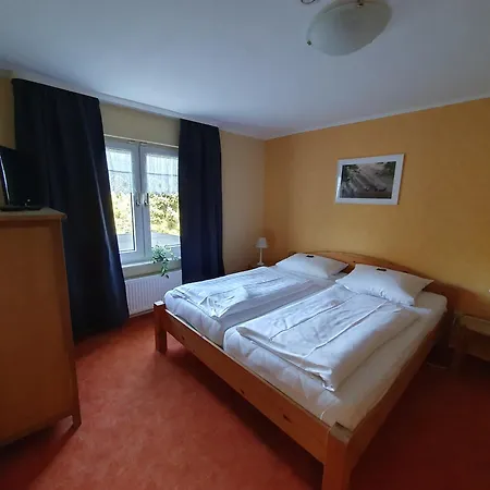 Brauner Hirsch Hannoversch Münden