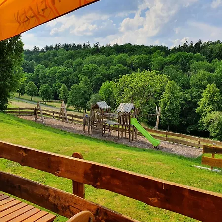 Brauner Hirsch Hannoversch Münden