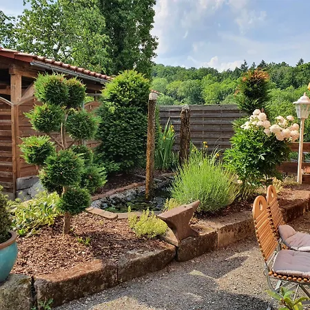 Brauner Hirsch 2* Hannoversch Münden