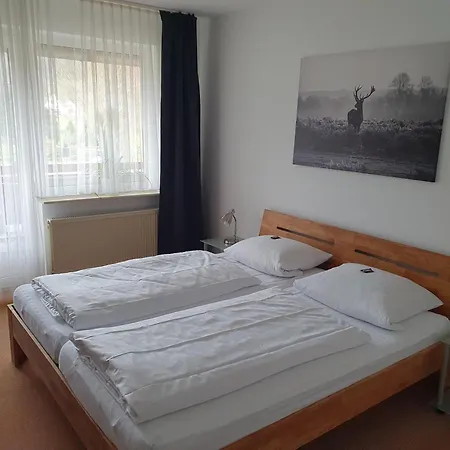 Brauner Hirsch Hannoversch Münden