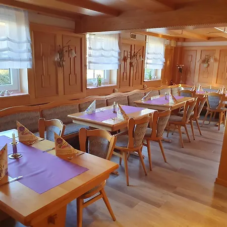 Brauner Hirsch 2* Hannoversch Münden