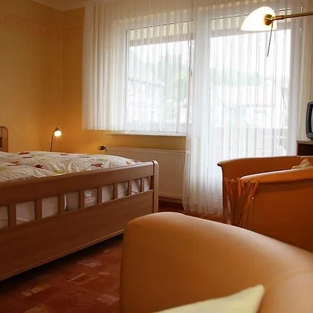 Brauner Hirsch Πανδοχείο