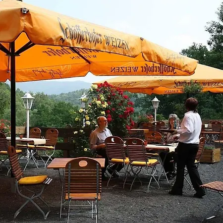 Brauner Hirsch 2* Hannoversch Münden