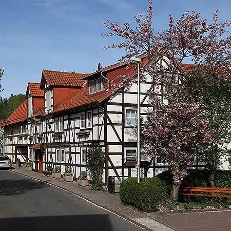 Gasthof Brauner Hirsch