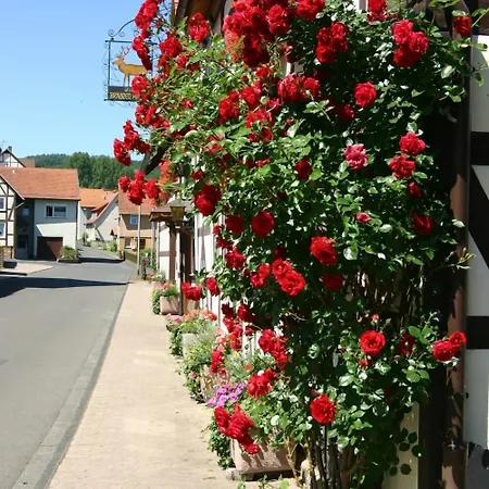 Estalagem Brauner Hirsch 2*