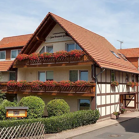 Brauner Hirsch 2* Hannoversch Münden