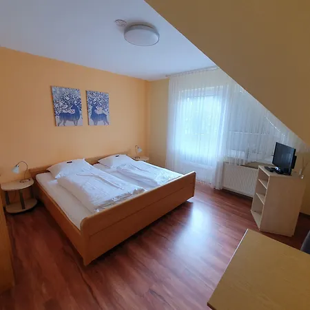 Brauner Hirsch Hannoversch Münden