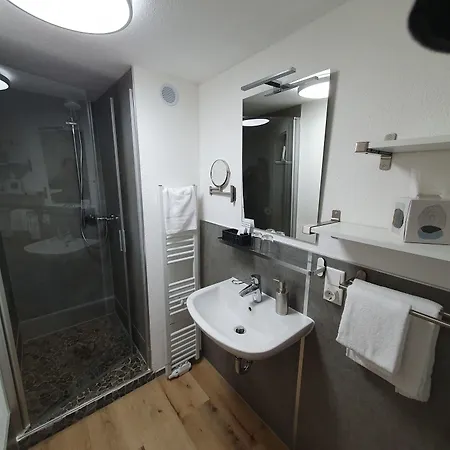 Brauner Hirsch Estalagem