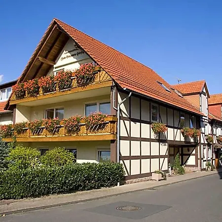 Brauner Hirsch Gasthof 2*