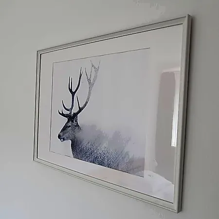 Fogadó Brauner Hirsch 2*