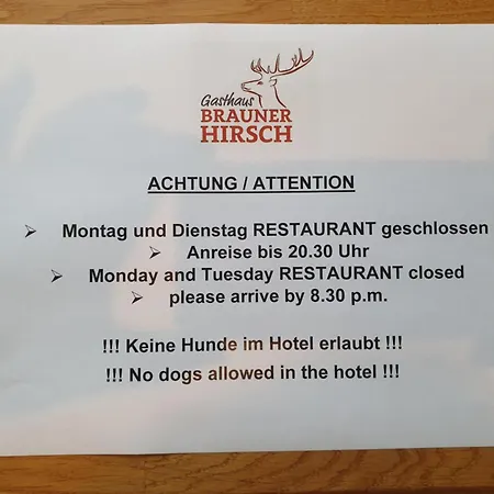 Brauner Hirsch Kro Hannoversch Münden