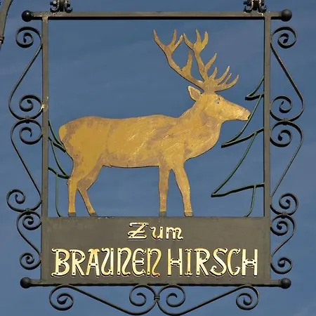Brauner Hirsch 여관