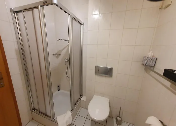 Brauner Hirsch 2* Hannoversch Münden