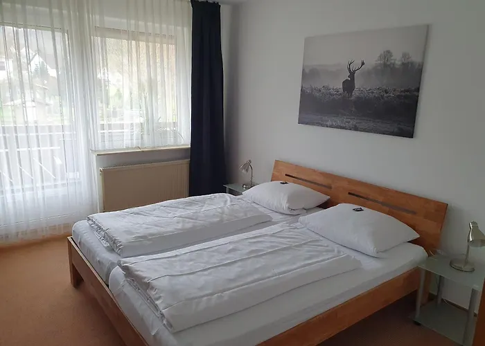 Brauner Hirsch Hannoversch Münden