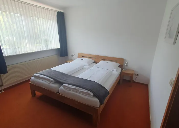 Brauner Hirsch 2* Hannoversch Münden