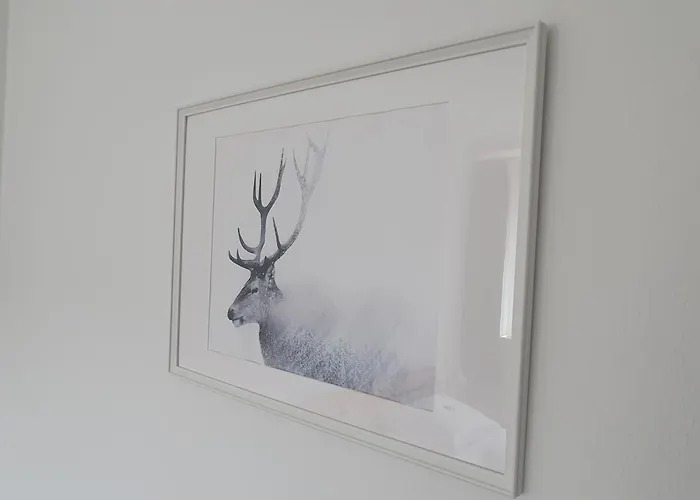 Mini-hôtel Brauner Hirsch