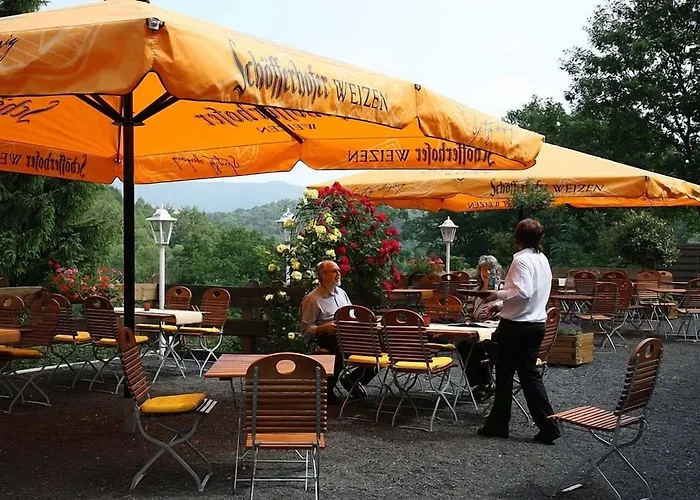 Brauner Hirsch 2* Hannoversch Münden