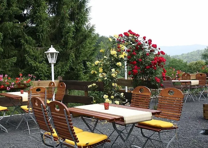 Brauner Hirsch بيت ريفي Hannoversch Münden